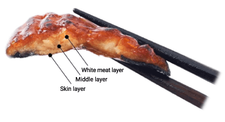 Plant-Based Eel's Three-Layer Structure