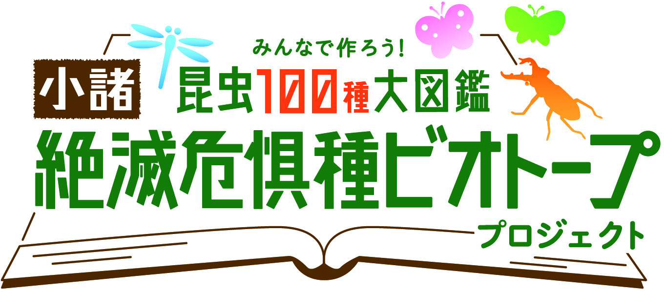 17 11 百福士プロジェクト第19弾 みんなで作ろう 昆虫100種大図鑑 小諸絶滅危惧種ビオトープ プロジェクト コラム Nissin History 日清食品グループ