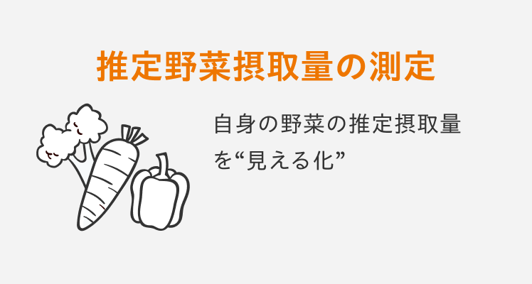 推定野菜摂取量の測定 | 自身の野菜の推定摂取量を”見える化”