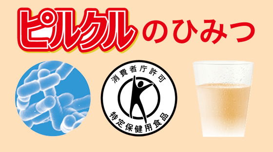 清 ヨーク ピルクル 日